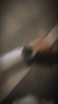 Labo ko 