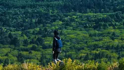 slowmo landscape