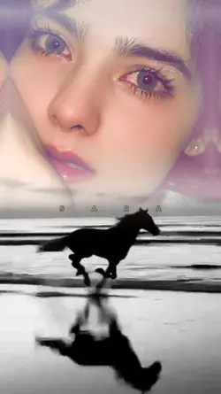 S    A    R    A
