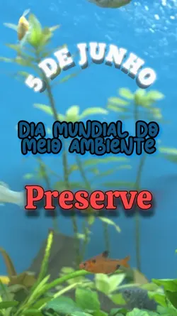 Dia Meio ambiente 