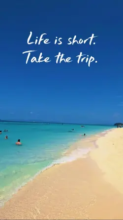 short live take Trip