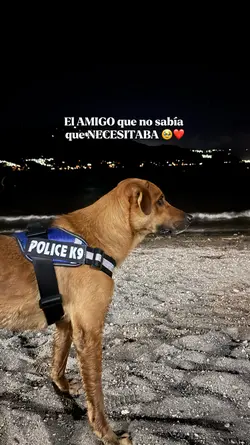 Mi amigo perruno ❤️