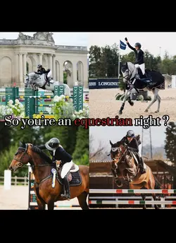 Equestrian 