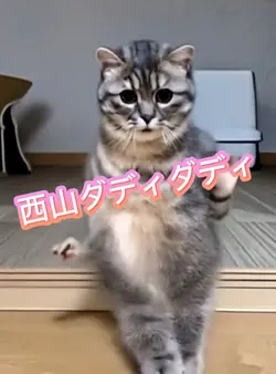 西山ダディダディダンス