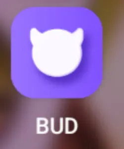 DOWNLOAD BUD