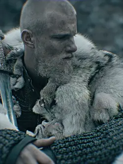 vikings 