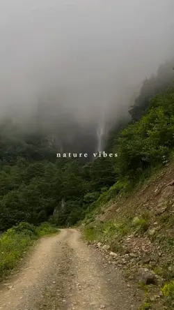 nature vibes