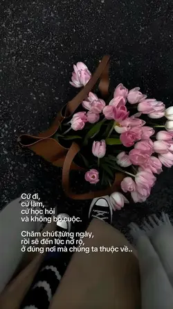 Cap + Màu