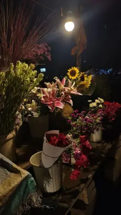 Season 