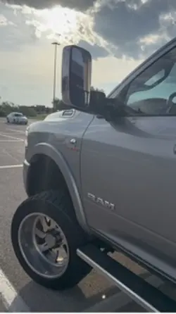 Silver ram