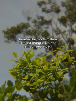 Bahan sw mu