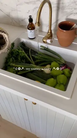 my routine activity