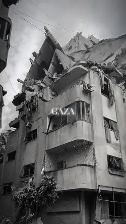 save Palestine 