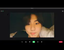 Fake zoom meeting