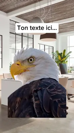 Le regard de l'aigle