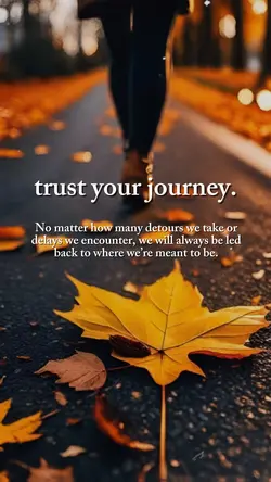 Trust Your Journey 🤍