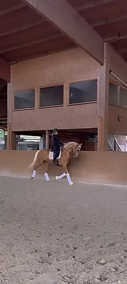 dressage slomo