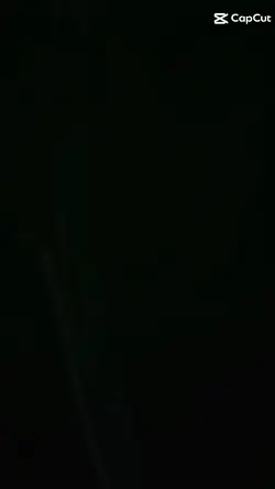 vine