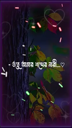 ওহে আমার শখের নারী 