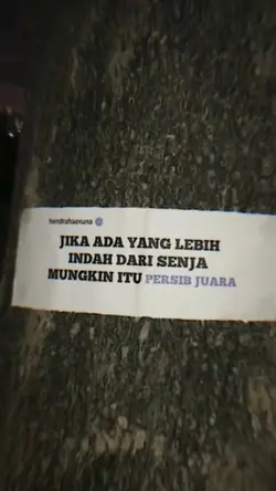 persib juara