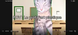 Histoire de chat 