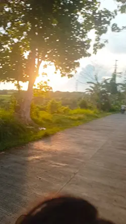 adventure