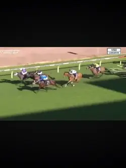 Winx