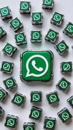 WhatsApp Divulgação 