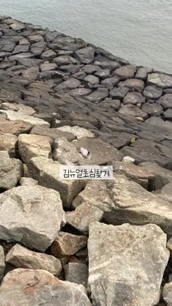 여름 기록하기