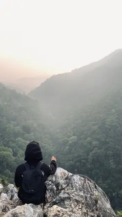 we are need someone 