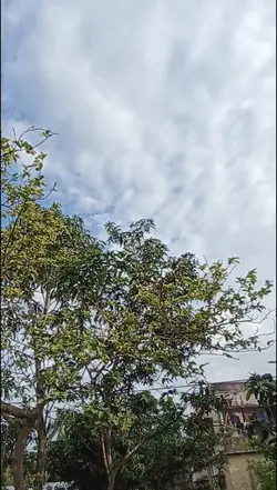 ঘুম পাড়ানী বন্ধু 