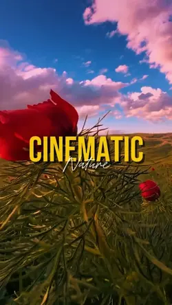 CINEMATIC NATURE