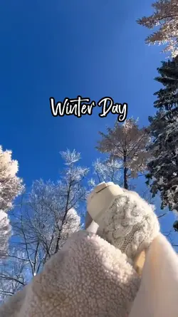 Winter Day
