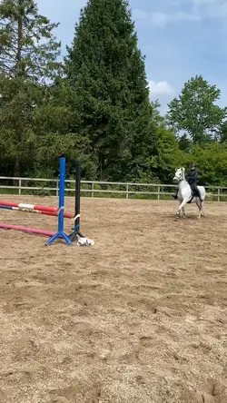 Smooth slowmo