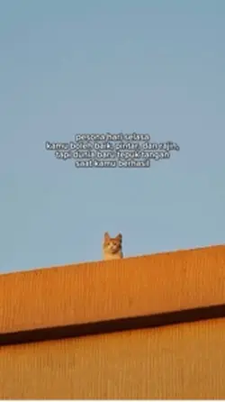 pesona hari selasa