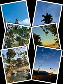 6Pic Trend Aesthetic