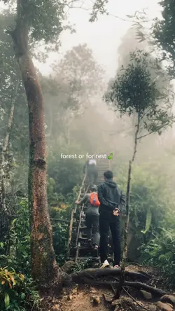 CINEMATIC VIDEO ALAM