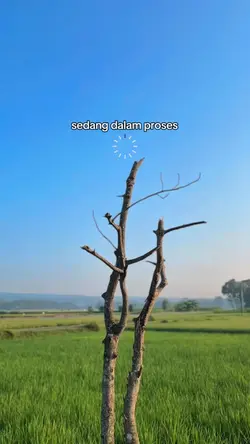 Sedang dalam proses