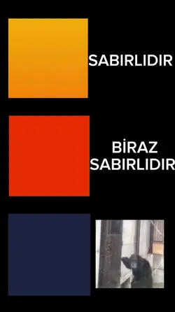sabırsız maymun