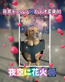 ビデオ変身/夜空に花火