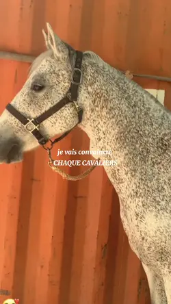 emmenez moi 
