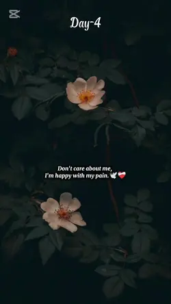 sabai ko kash