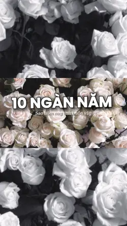 [1]LYRICS