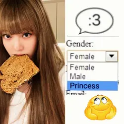 gender princess