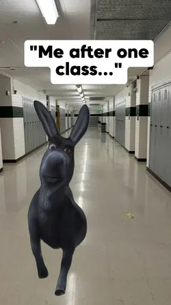afte one class