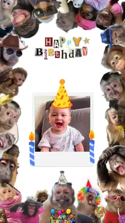 FUNNY HAPPY BIRTHDAY