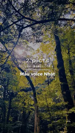 Mẫu voice Nhật