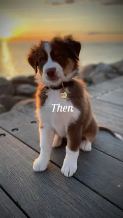 Then vs now 