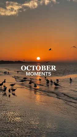 october moments 