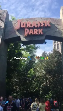 vlog 8